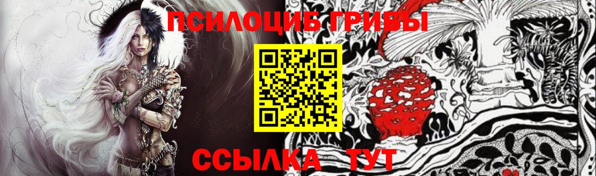 Псилоцибиновые грибы Cubensis  Вход с VPN  Богданович  Псилоцибиновые грибы Psilocybine cubensis 